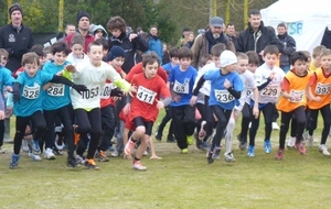 Départementaux de cross : 6 podiums dont 3 titres pour le RAC