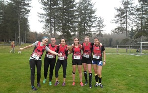 Cross de Cognac : D'excellents résultats !