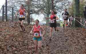 Cross de Cognac : plusieurs podiums pour le RAC !