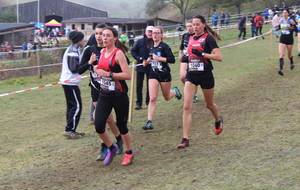 Cross : 20 participants aux 1/4 de finale des France