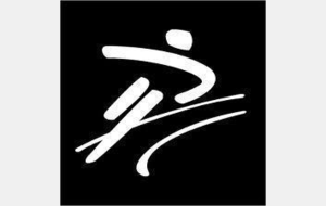 semi la virée des puces